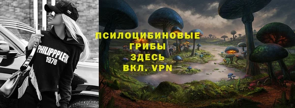 тгк Киреевск