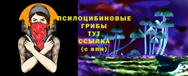 тгк Киреевск
